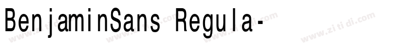 BenjaminSans Regula字体转换